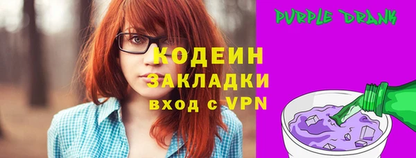 прущие грибы Вяземский