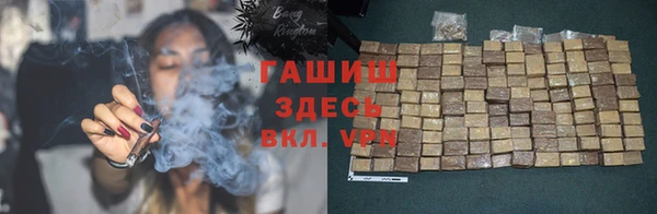 прущие грибы Вяземский