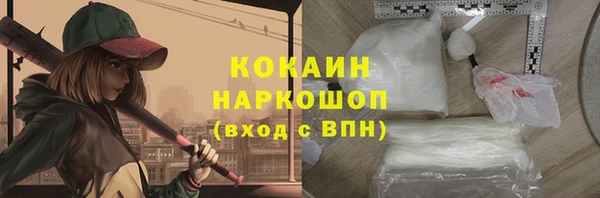 прущие грибы Вяземский