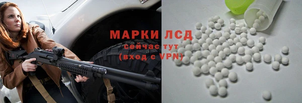 гашик Вязьма