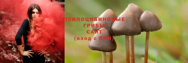 гашик Вязьма