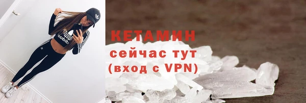 прущие грибы Вяземский