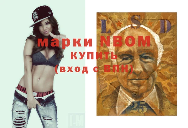 гашик Вязьма
