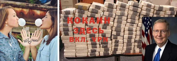 прущие грибы Вяземский
