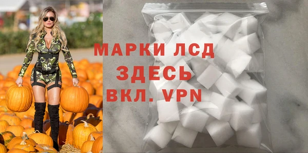 прущие грибы Вяземский