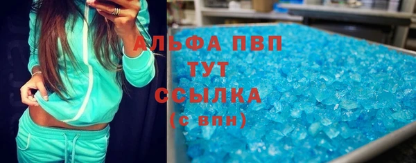 прущие грибы Вяземский