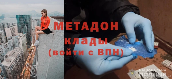 прущие грибы Вяземский