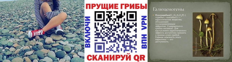 Псилоцибиновые грибы Magic Shrooms Подольск